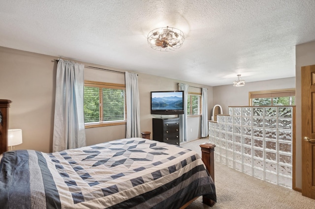 6257 185th Ave SE, Santiago Twp, MN 55308 - bedroom with carpet flooring, multiple windows, and a textured ceiling