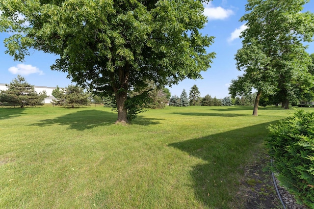 7929 85th Ct N, Brooklyn Park, MN 55445 - photo 5