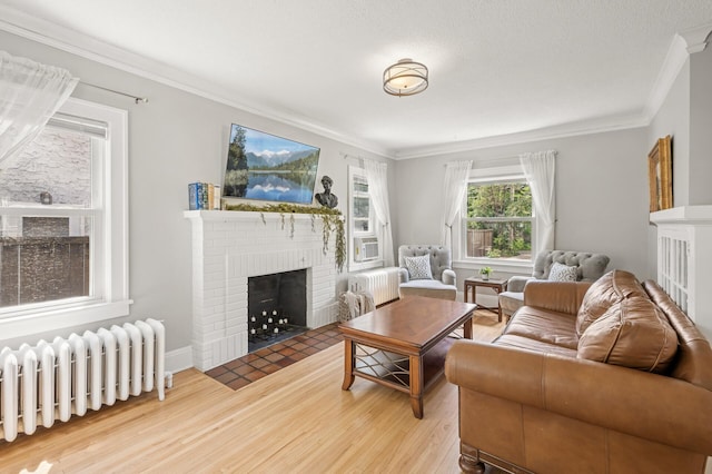 1407 Pascal St N, Saint Paul, MN 55108 - living room with radiator, ornamental molding, wood finished floors, and a fireplace