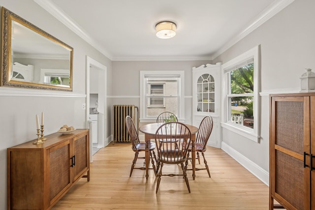 1407 Pascal St N, Saint Paul, MN 55108 - dining space featuring radiator, light wood finished floors, and crown molding