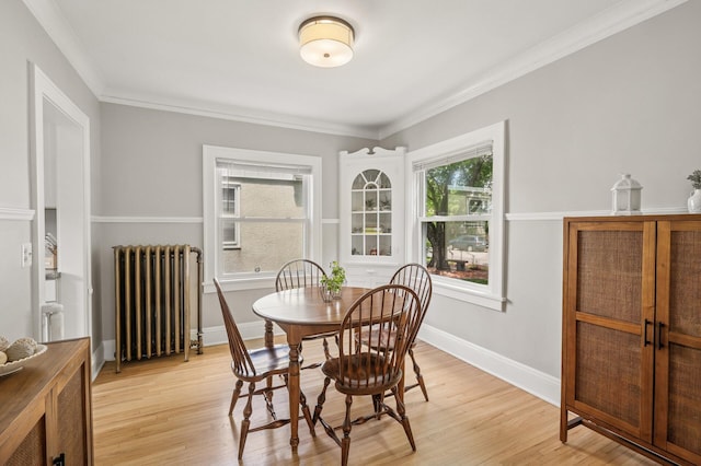 1407 Pascal St N, Saint Paul, MN 55108 - dining area with radiator heating unit, light wood finished floors, and ornamental molding