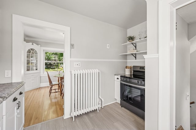 1407 Pascal St N, Saint Paul, MN 55108 - kitchen featuring radiator heating unit, electric range, light wood-type flooring, white cabinets, and light stone countertops