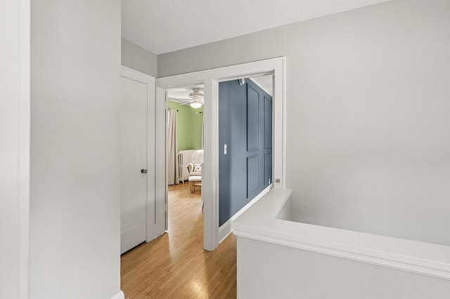 1407 Pascal St N, Saint Paul, MN 55108 - hall featuring light wood-style flooring and baseboards