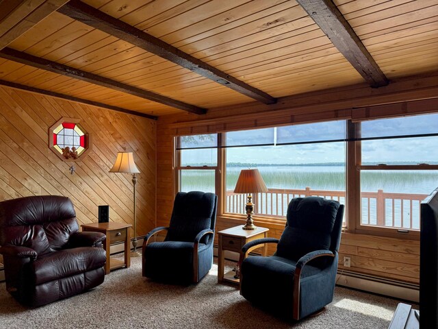 3025 Viewpoint Rd, Isle, MN 56342 - sunroom / solarium with baseboard heating, beam ceiling, and a water view