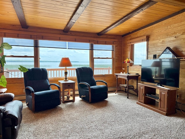 3025 Viewpoint Rd, Isle, MN 56342 - carpeted living room with a wood ceiling with exposed beams, a baseboard heating unit, and wood walls
