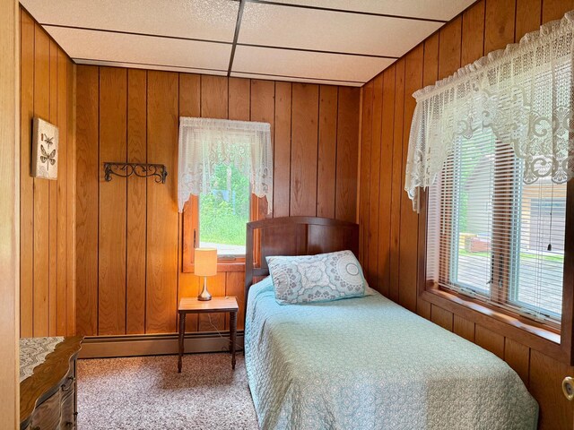 3025 Viewpoint Rd, Isle, MN 56342 - bedroom with a baseboard heating unit, carpet floors, and wooden walls