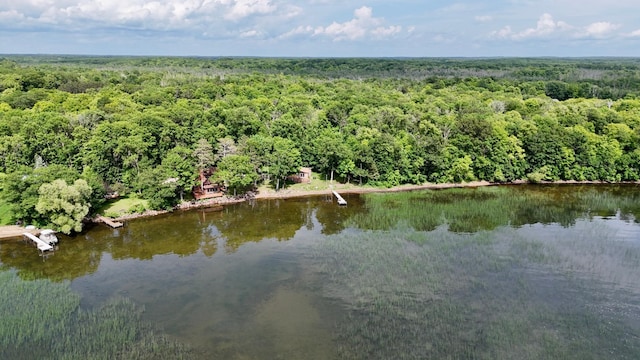 3025 Viewpoint Rd, Isle, MN 56342 - drone / aerial view of a forest and a nearby body of water