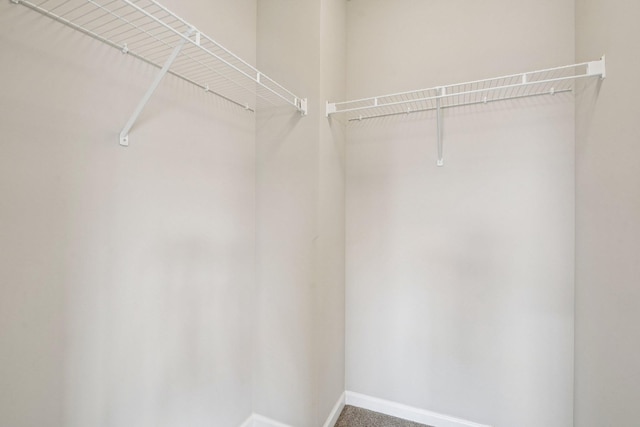 8169 Central Park Way N, Maple Grove, MN 55369 - view of walk in closet