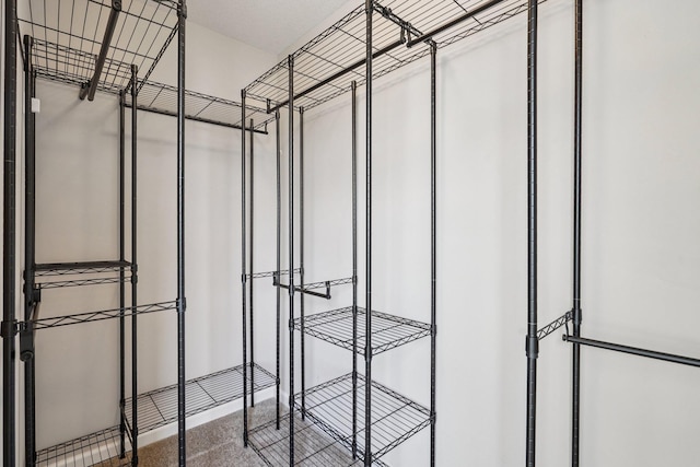 8169 Central Park Way N, Maple Grove, MN 55369 - view of spacious closet