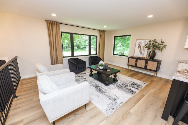 7719 Canary Rd SW, Alexandria, MN 56308 - living room featuring light wood-type flooring and recessed lighting