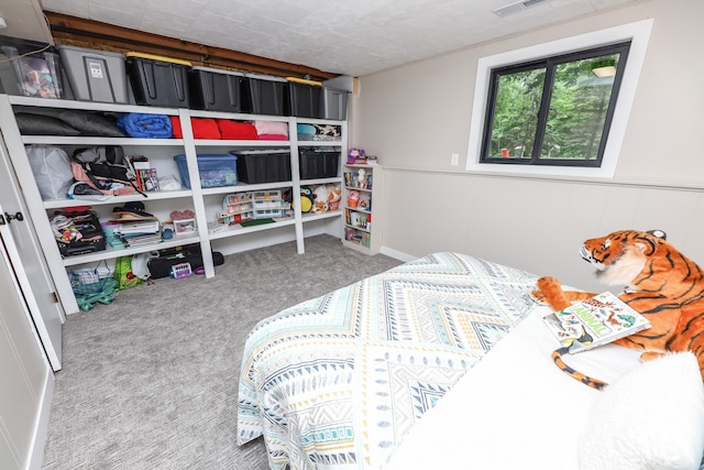 7719 Canary Rd SW, Alexandria, MN 56308 - view of carpeted bedroom