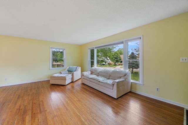 1105 9th Ave NW, Rochester, MN 55901 - living area featuring light wood-style flooring and baseboards