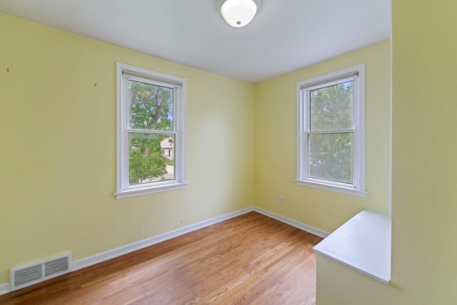 1105 9th Ave NW, Rochester, MN 55901 - spare room featuring plenty of natural light and light wood-style flooring