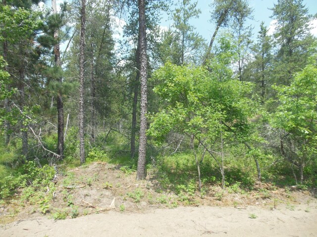 1176X Forestview Dr, Baxter, MN 56425 - view of tree filled area