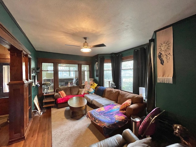 407 Minnesota St, Redwood Falls, MN 56283 - living area featuring a ceiling fan, healthy amount of natural light, wood finished floors, and a textured ceiling