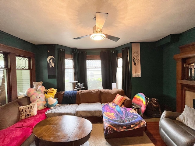 407 Minnesota St, Redwood Falls, MN 56283 - living area featuring a ceiling fan