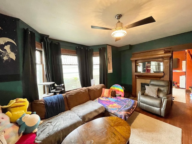 407 Minnesota St, Redwood Falls, MN 56283 - living room featuring wood finished floors and ceiling fan