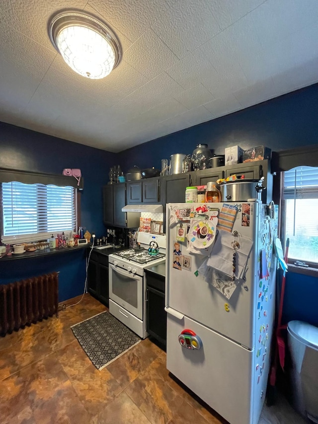 407 Minnesota St, Redwood Falls, MN 56283 - kitchen with white appliances