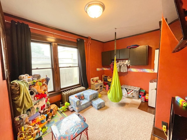 407 Minnesota St, Redwood Falls, MN 56283 - bedroom with radiator and ornamental molding