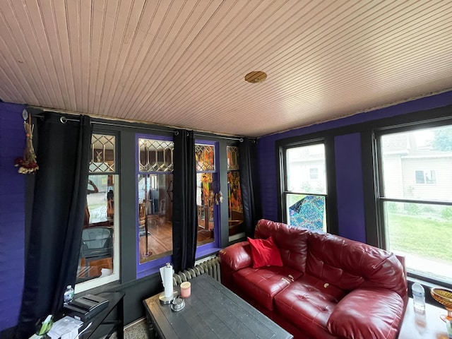 407 Minnesota St, Redwood Falls, MN 56283 - living room with wood ceiling
