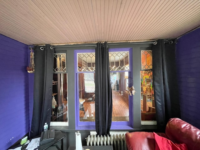 407 Minnesota St, Redwood Falls, MN 56283 - detailed view of radiator heating unit and wooden ceiling