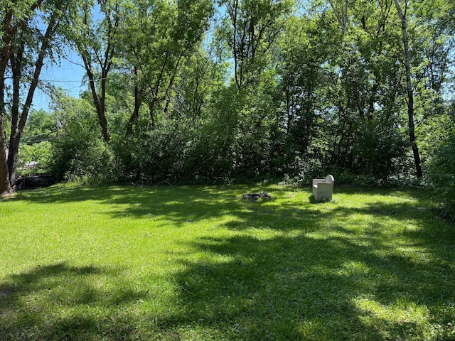 1111 13th St, Brainerd, MN 56401 - view of green lawn