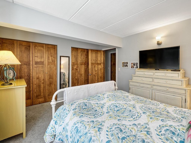 2700 44th St Unit 116, Minneapolis, MN 55410 - carpeted bedroom featuring two closets