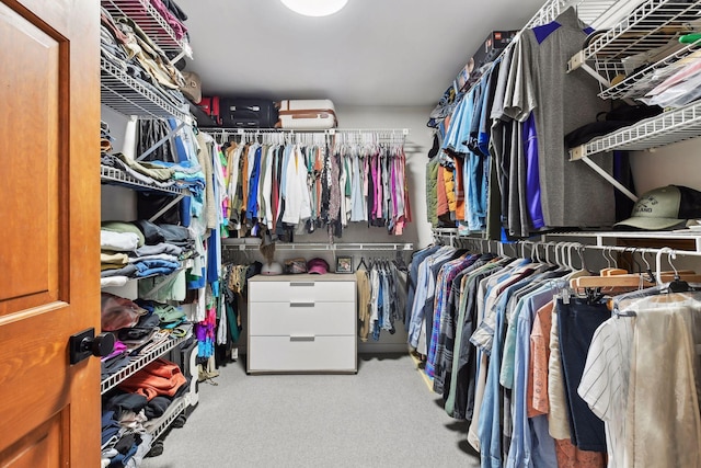 1611 Hill Ridge Ter, Minnetonka, MN 55305 - walk in closet featuring carpet floors
