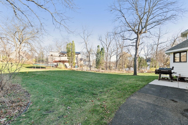 1611 Hill Ridge Ter, Minnetonka, MN 55305 - view of grassy yard featuring a trampoline
