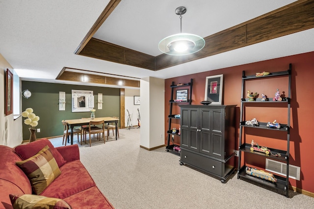 19402 Carson Cir NW, Elk River, MN 55330 - living area with carpet and a raised ceiling
