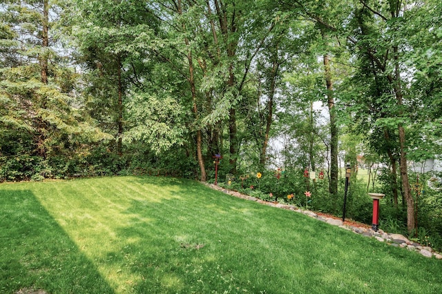 19402 Carson Cir NW, Elk River, MN 55330 - view of grassy yard