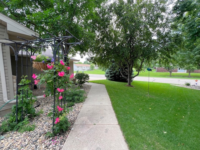 102 Mayfair Ave, New London, MN 56273 - view of green lawn