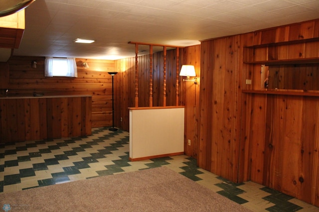 509 24th Ave N, Fargo, ND 58102 - below grade area with wood walls and carpet flooring