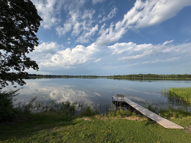 5743 Otter View Trl, White Bear Lake, MN 55110 - photo 30