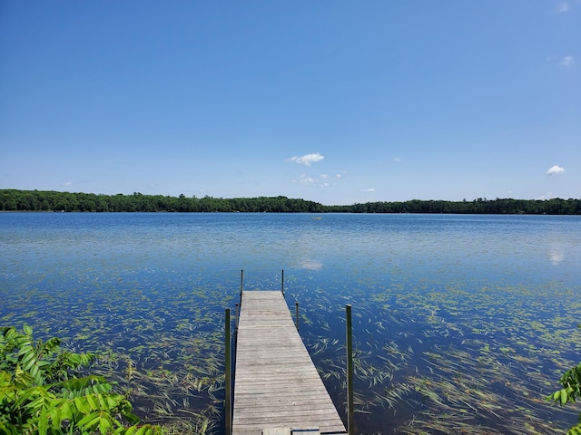 23635 County Road 36, Emily, MN 56447 - photo 4
