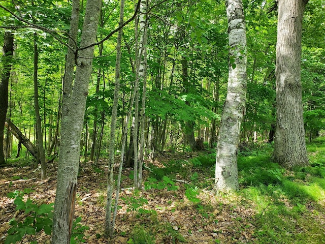 23635 County Road 36, Emily, MN 56447 - photo 22