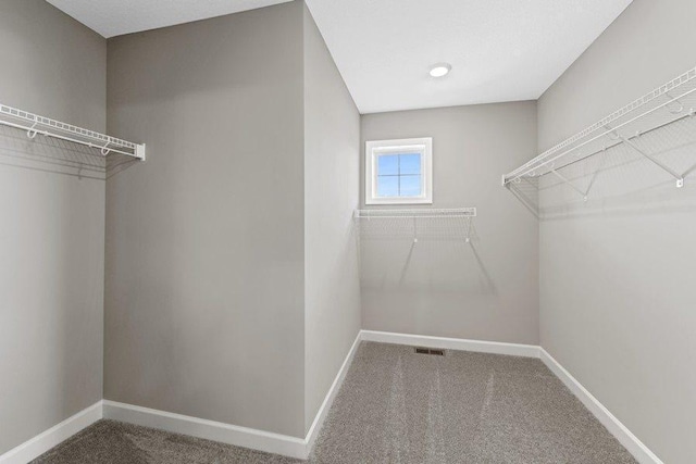 1681 Upper 143rd St E, Rosemount, MN 55068 - spacious closet featuring carpet flooring