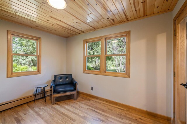 14766 Danson Rd, Splithand Twp, MN 55744 - unfurnished room with plenty of natural light, a baseboard radiator, light wood finished floors, and wood ceiling