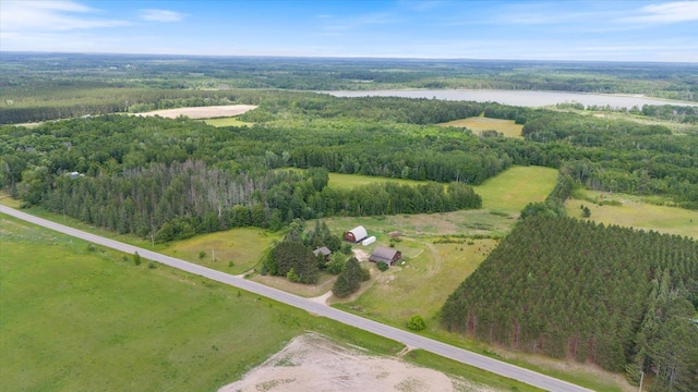 14766 Danson Rd, Splithand Twp, MN 55744 - aerial overview of property's location with a large body of water and a forest