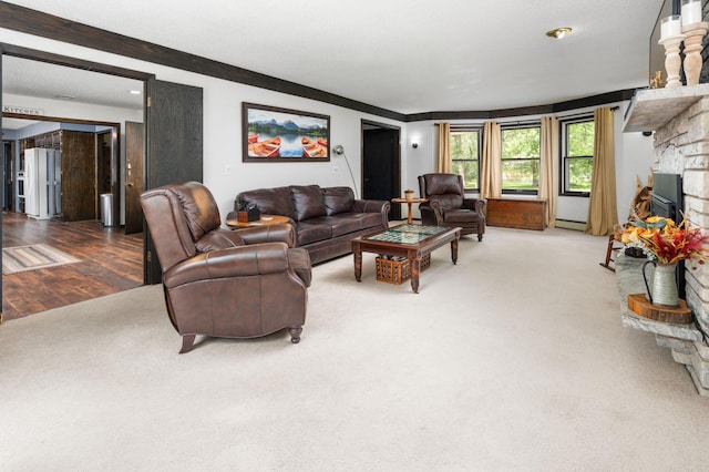 1708 Woodland Rd, Saint Cloud, MN 56304 - carpeted living room featuring a fireplace and a baseboard heating unit