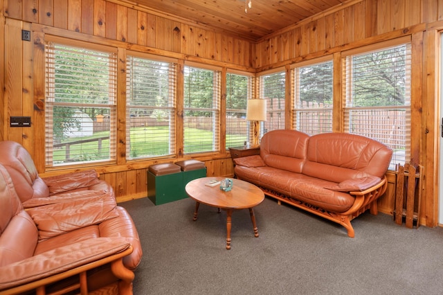 1708 Woodland Rd, Saint Cloud, MN 56304 - carpeted living room with wooden walls and wood ceiling