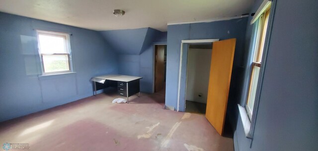 103 Main St S, Kindred, ND 58052 - additional living space with vaulted ceiling and light carpet