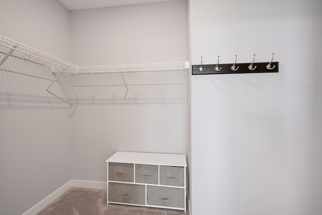 14660 109th Ave N, Maple Grove, MN 55369 - spacious closet featuring carpet flooring