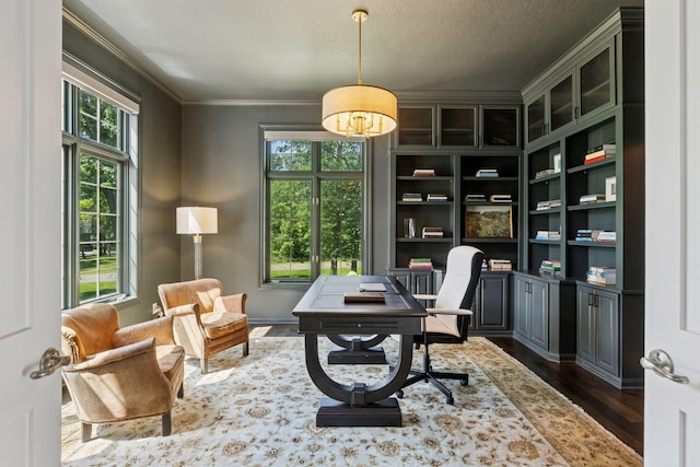 2 Red Forest Ln, North Oaks, MN 55127 - office area featuring crown molding, dark wood-style flooring, and a textured ceiling