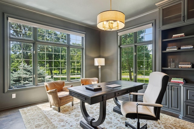 2 Red Forest Ln, North Oaks, MN 55127 - home office featuring plenty of natural light, crown molding, a chandelier, and wood finished floors