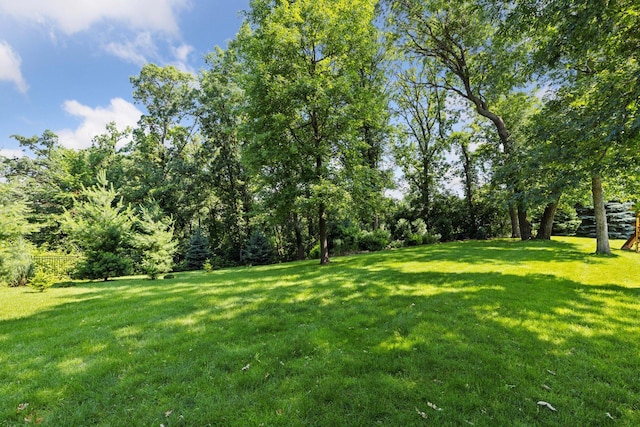 2 Red Forest Ln, North Oaks, MN 55127 - view of grassy yard