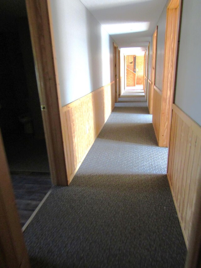 13070 10th St NW, Watson, MN 56295 - photo 35