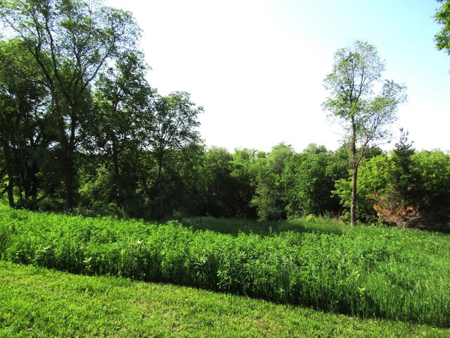 13070 10th St NW, Watson, MN 56295 - photo 87