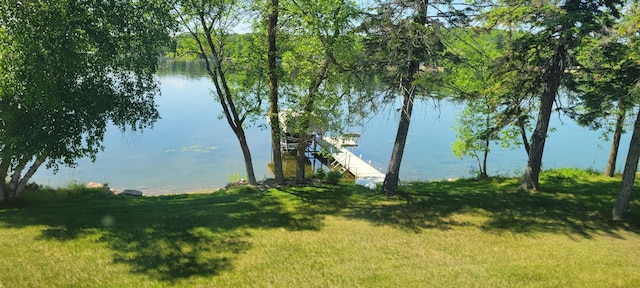 21530 County Road 117, Toad Lake Twp, MN 56570 - photo 15