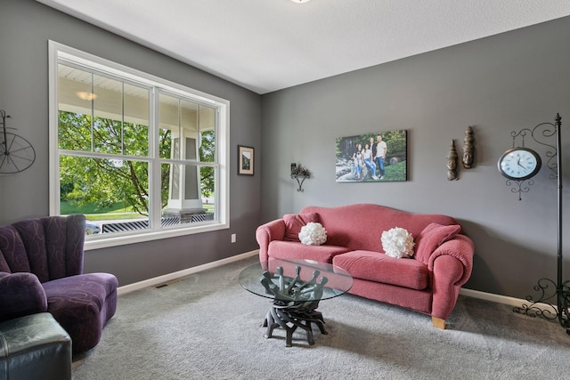 16768 Draft Horse Blvd, Lakeville, MN 55044 - photo 15